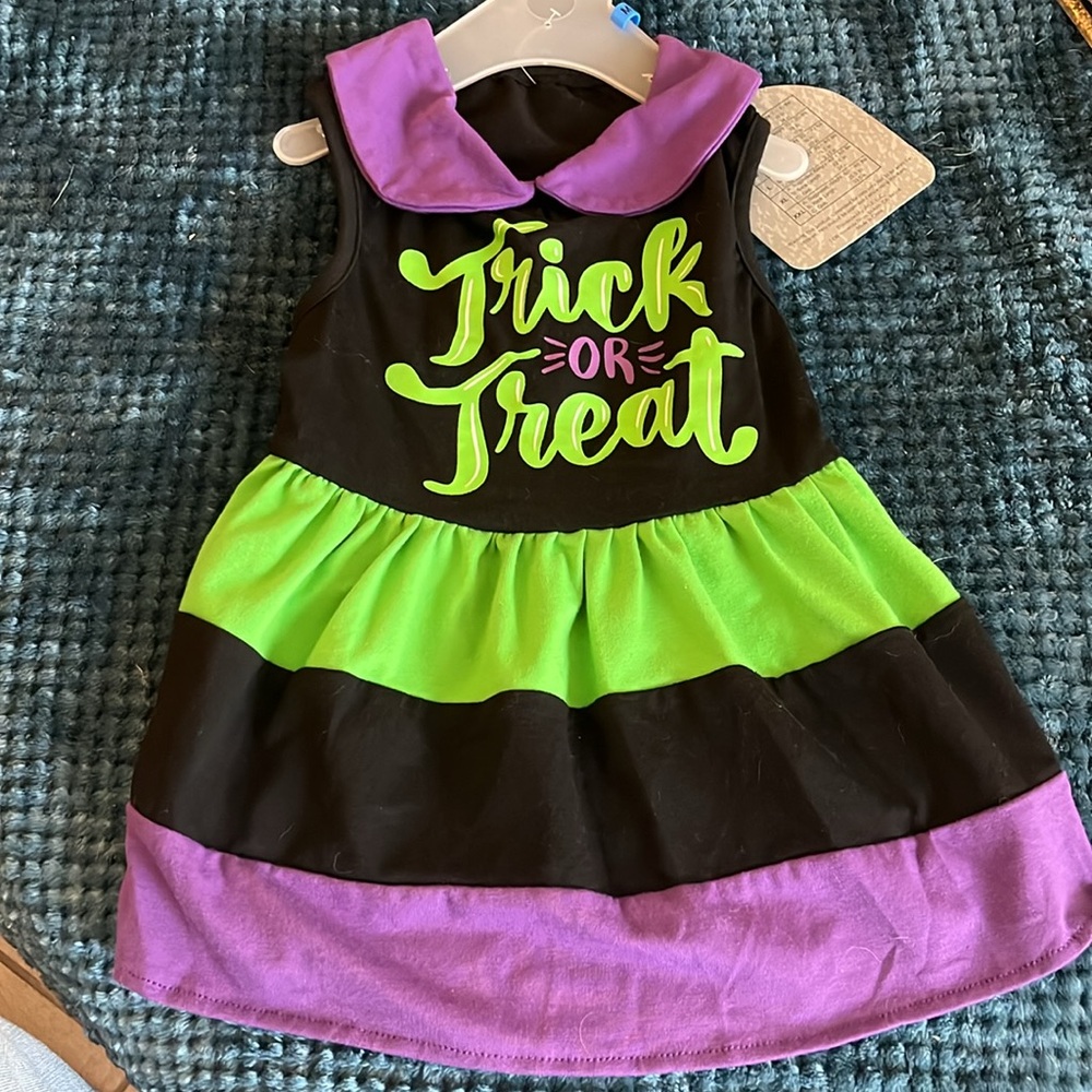 CUTE Trick OR Treat Colorblock Collard Halloween Dog Costume💚💜🖤